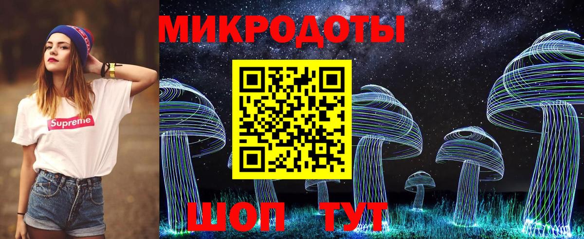 Галлюциногенные грибы прущие грибы  Псилоцибиновые грибы Cubensis  Вход с VPN  Каменка 