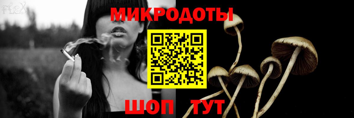 Псилоцибиновые грибы Psilocybine cubensis Каменка